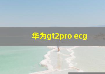 华为gt2pro ecg